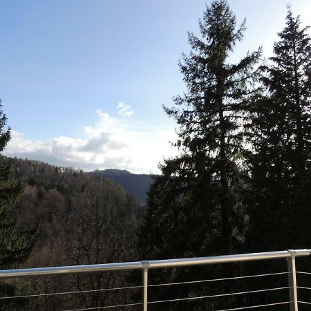 Gite Esperanza Spa Et Sauna Haselbourg Buitenkant foto
